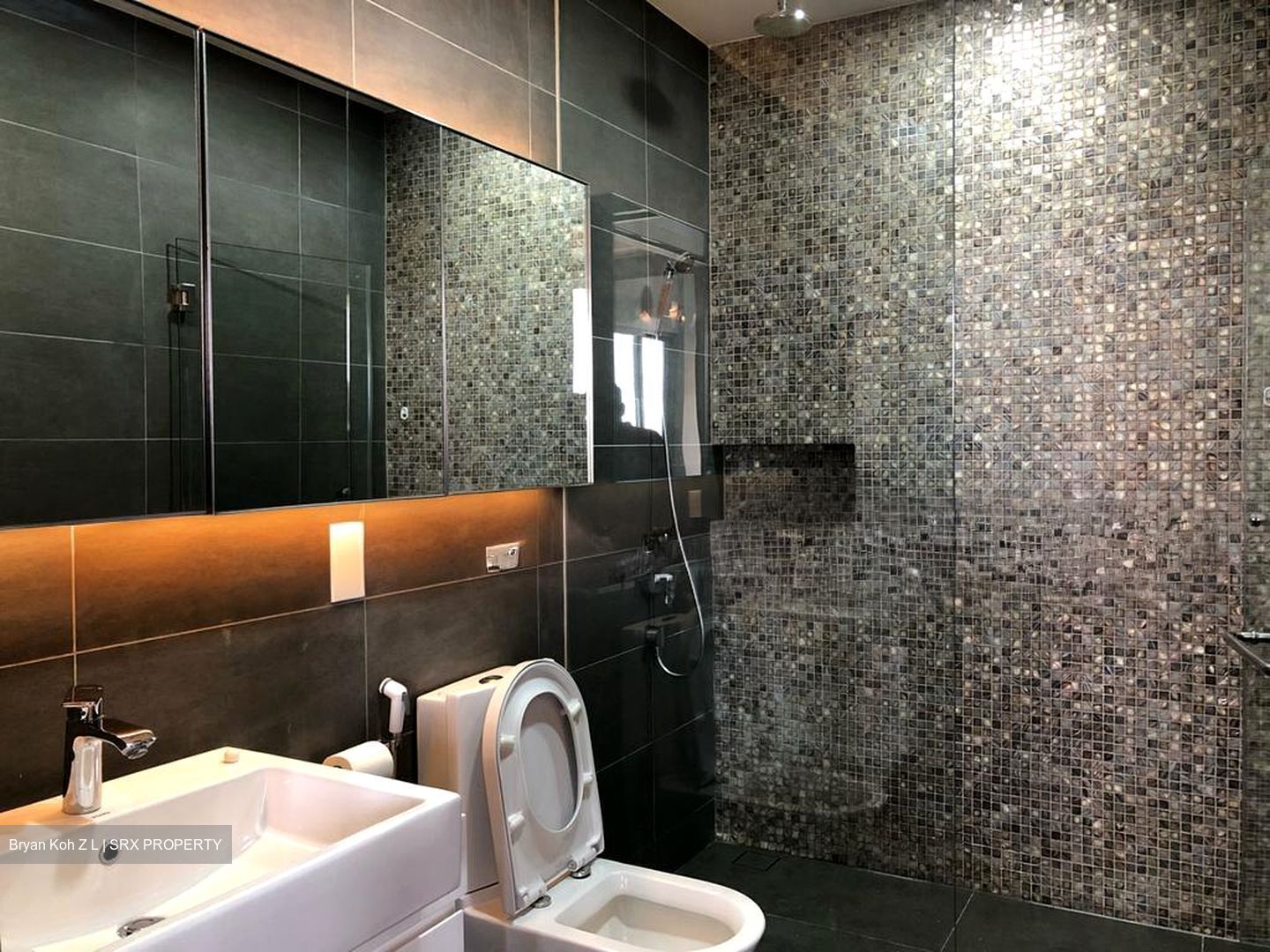 Katong Regency (D15), Apartment #532482501